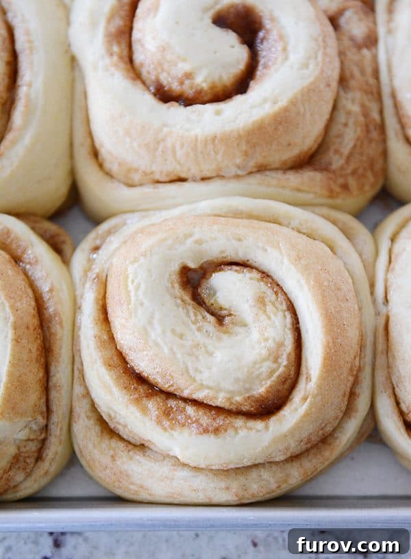 Top view of a pan of cooked, unfrosted cinnamon rolls, showcasing their perfect bake.