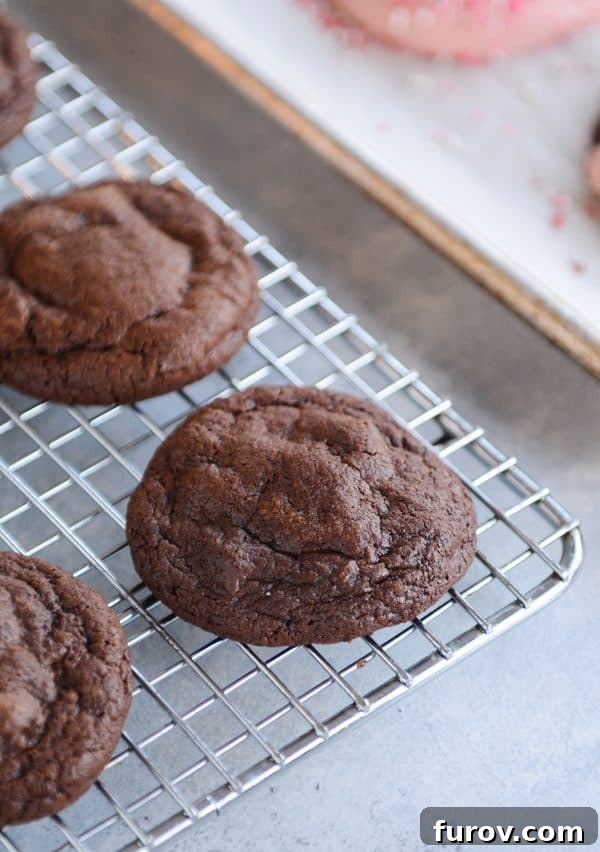 Decadent One-Bowl Fudgy Brownie Cookies 2 Chocolate brownie cookies on a cooling rack, showcasing their rich, fudgy texture and perfect cracks.