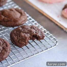Decadent One-Bowl Fudgy Brownie Cookies 7 Amazing Fudgy Brownie Cookies