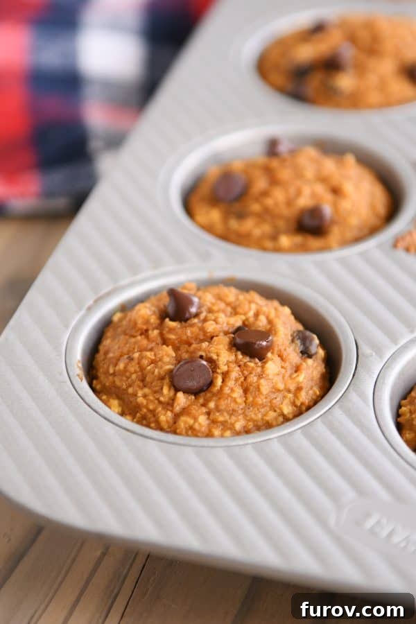 Effortless Gluten Free Pumpkin Chocolate Chip Blender Muffins 2 Easy pumpkin blender muffins baked in muffin tin, showcasing their fluffy texture and golden-brown tops.