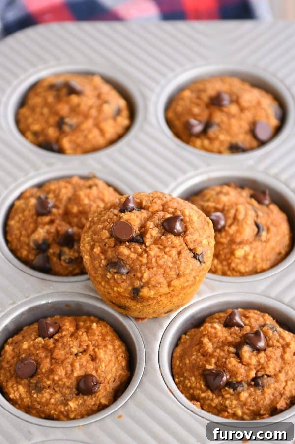 Effortless Gluten Free Pumpkin Chocolate Chip Blender Muffins 4 Two easy pumpkin blender muffins in a muffin tin, with one muffin gracefully placed on top, showcasing its lovely dome.