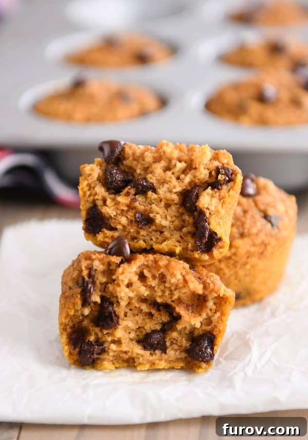 Effortless Gluten Free Pumpkin Chocolate Chip Blender Muffins 6 A cross-section of an easy pumpkin blender muffin with visible chocolate chips, showcasing its moist interior.