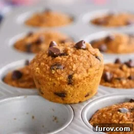 Easy pumpkin blender muffins in muffin tin with one muffin sitting on top.