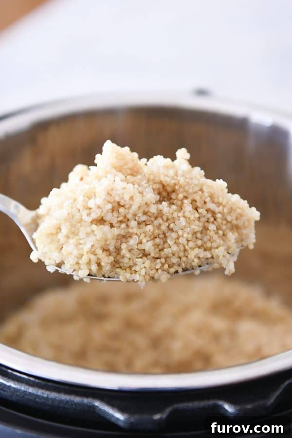 Spoonful of cooked quinoa in the Instant Pot.