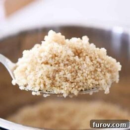 Spoonful of cooked quinoa in the Instant Pot.