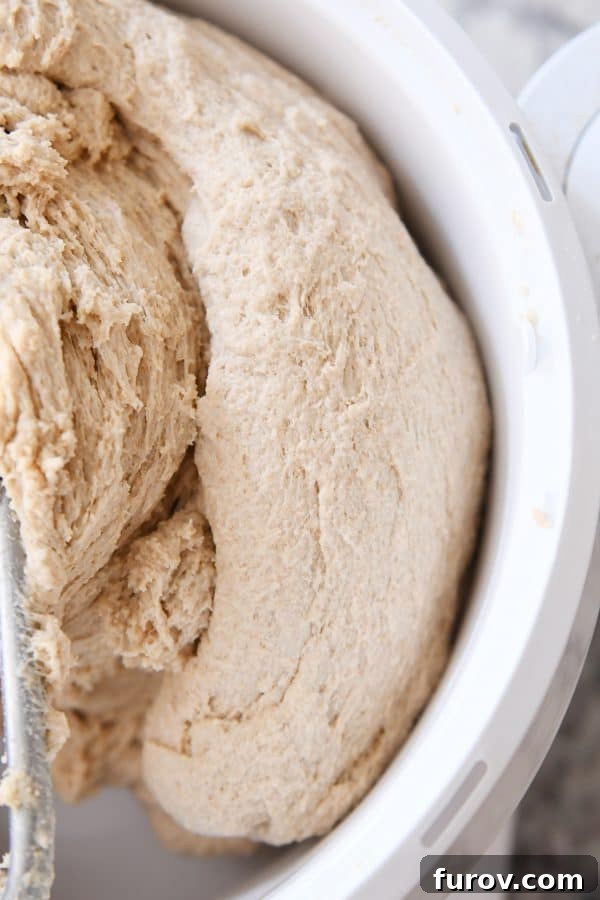 Bread dough after it has been kneaded.
