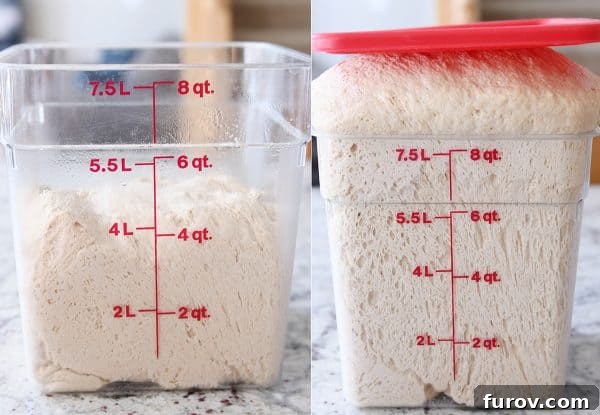 Bread dough side by side unrisen and risen