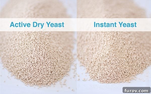 Active dry yeast and instant yeast