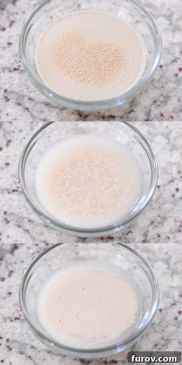 Proofing yeast in water.
