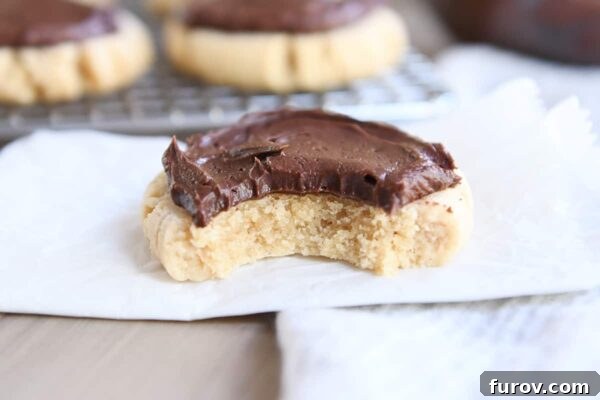 peanut butter sugar cookie with chocolate frosting