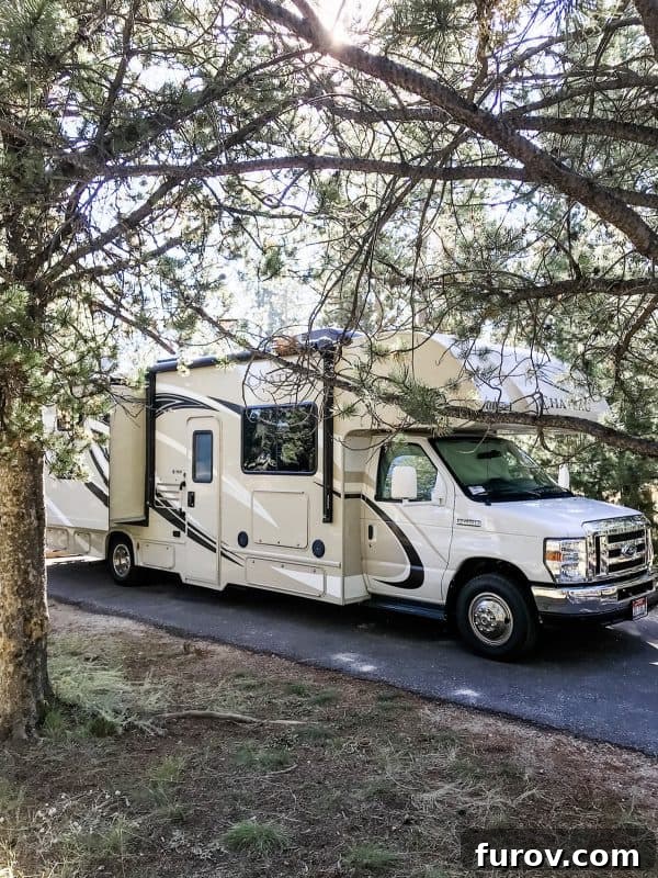 rv motorhome parked under trees