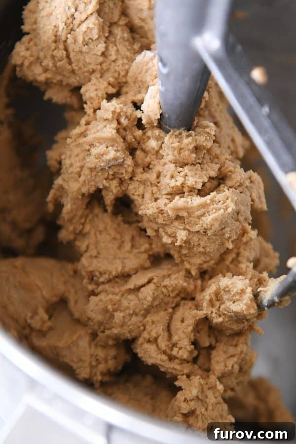 Gingerbread sugar cookie dough in kitchenaid bowl.