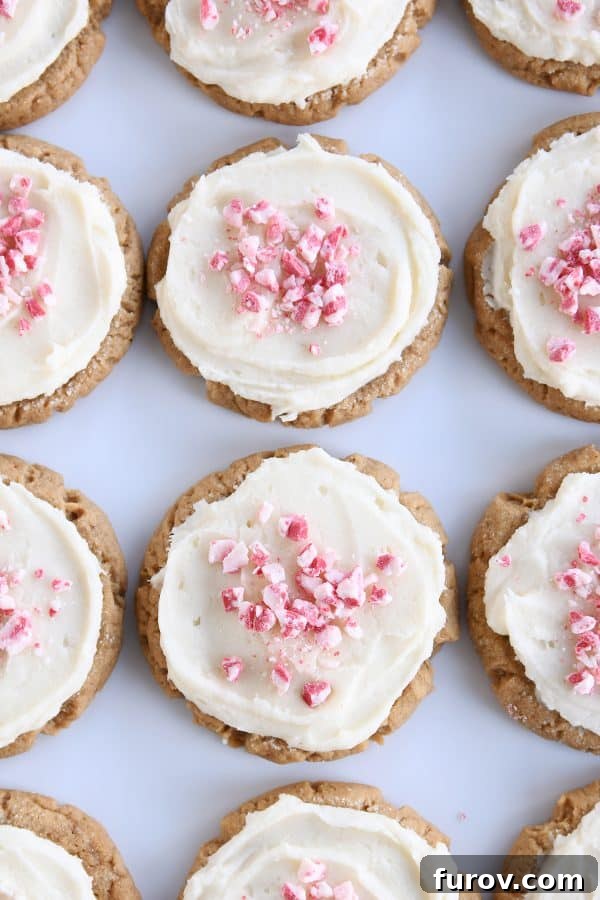 Six frosted gingerbread sugar cookies.