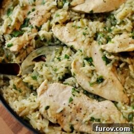 Skillet Chicken with Mexican Green Rice plated for serving