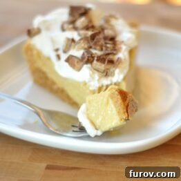 A slice of pudding pie garnished with whipped cream and crushed candy, highlighting the recipe.