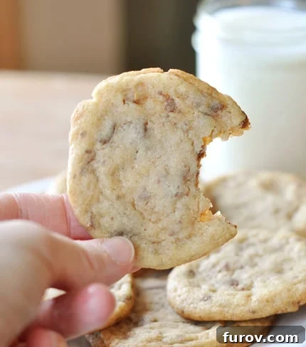 Chocolate Toffee Crunch Cookies 2 A hand holding a toffee studded cookie with a bite taken out of it.