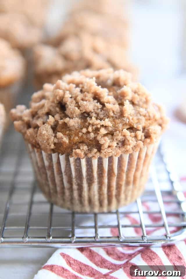 Streusel topped pumpkin snickerdoodle muffin on cooling rack, showcasing its golden-brown topping and fluffy interior.