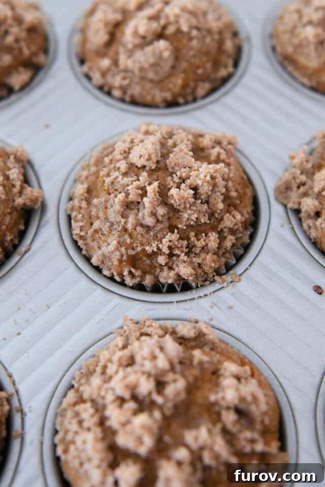 Freshly baked pumpkin snickerdoodle muffins, still warm in the muffin tin, showcasing their high domes and rich golden streusel topping.
