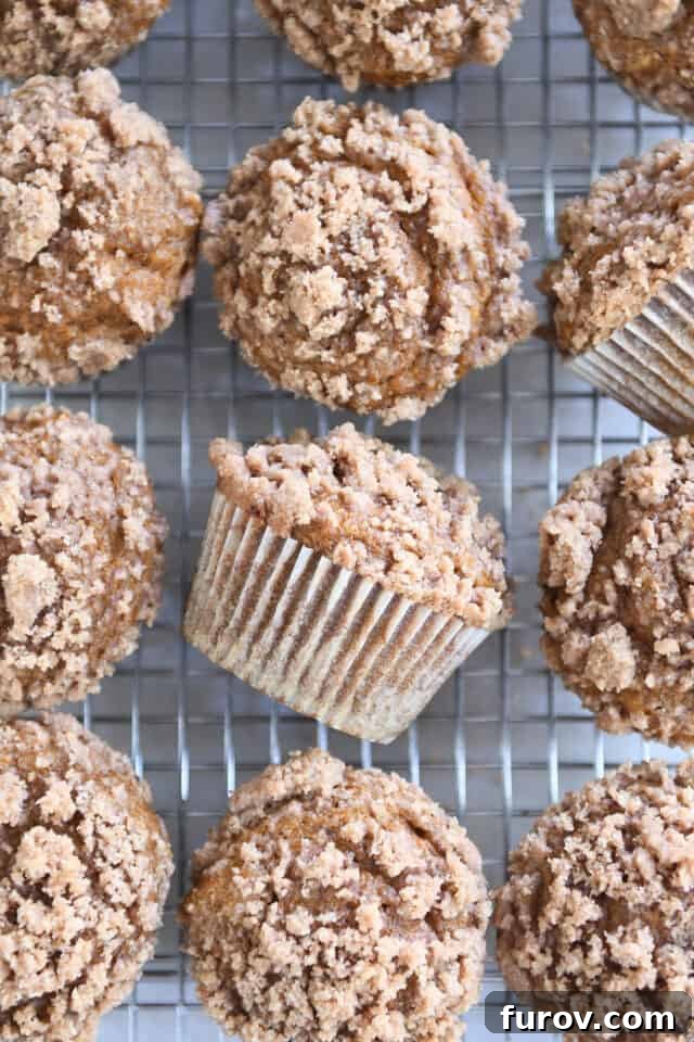 Multiple freshly baked Pumpkin Snickerdoodle Muffins arranged perfectly on a wire cooling rack, ready to be enjoyed or shared.