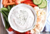 The World’s Finest Dip Veggie and Chip Approved