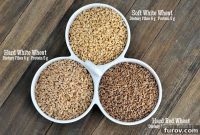 Wheat Grinding 101: From Grain Types to Sourcing and Culinary Applications