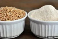 The Essential Guide to Wheat Grinders: 60+ Top Models Reviewed