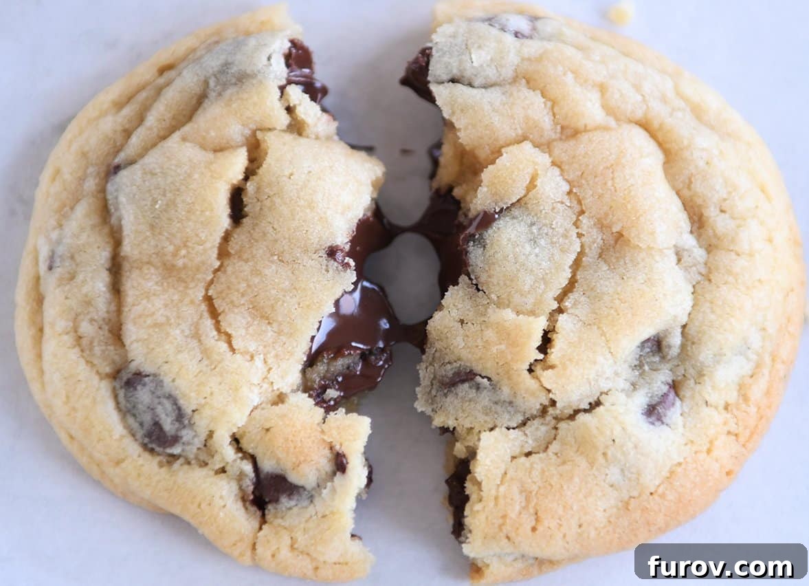 featured 31223