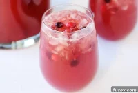 Festive Cranberry Apple Fizz