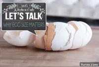 Understanding Egg Size And Its Importance