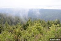 Effortless Wonders: Your Relaxed Guide to the Redwood Giants