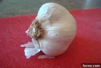 How to Peel and Chop Fresh Garlic