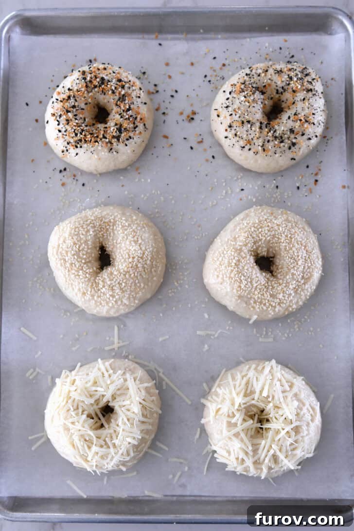Top-down view of six unbaked bagels, two with everything bagel seasoning, two with sesame seeds, and two with shredded Parmesan cheese.
