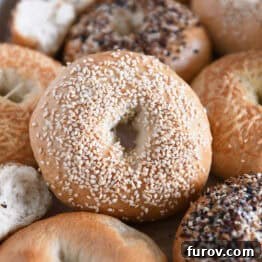 Lots of homemade bagels together on baking sheet with the center bagel loaded with sesame seeds.