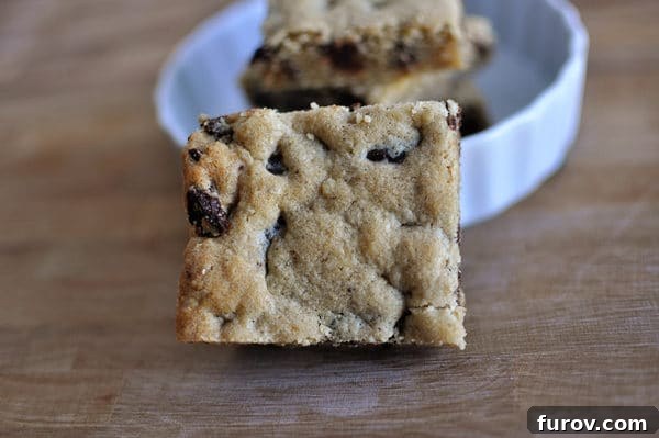 Homestyle Oatmeal Chocolate Chip Cookie Bars 11 A single cut oatmeal chocolate chip cookie bar resting next to a white bowl, highlighting its perfect texture.