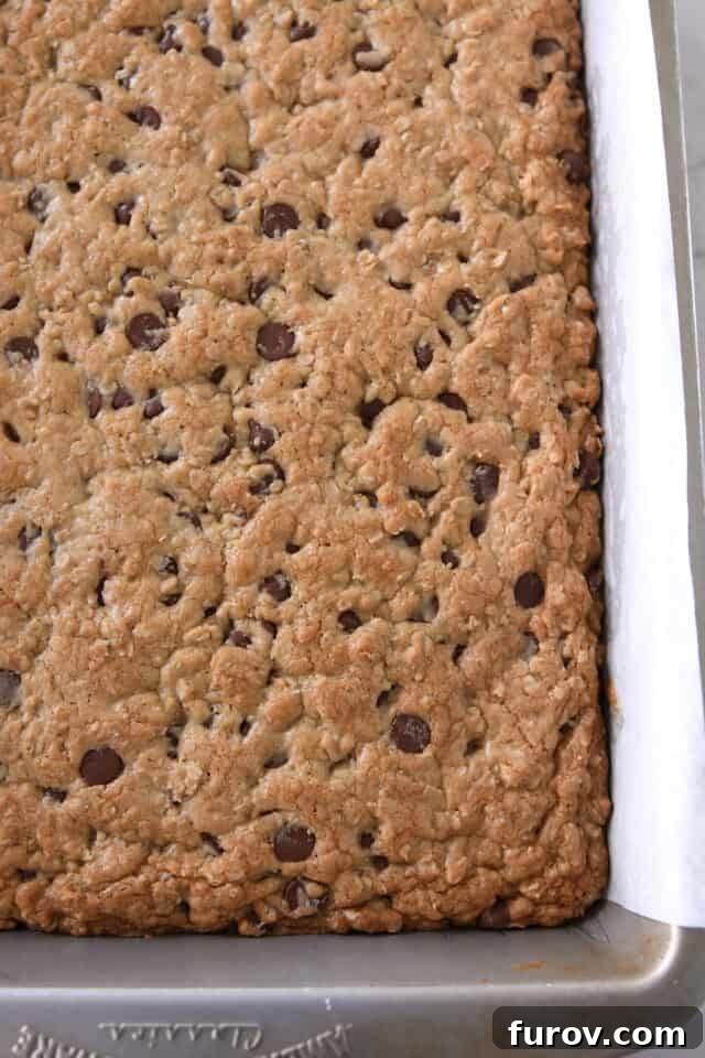 Homestyle Oatmeal Chocolate Chip Cookie Bars 7 A bottom corner view of a 9x13-inch pan of freshly baked oatmeal chocolate chip cookie bars, showing their golden hue.