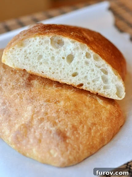 Homemade Ciabatta The Key to Earths Best Garlic Bread 3 A perfectly baked ciabatta loaf, sliced cleanly in half to highlight its open, porous texture and golden crust, ready for serving.