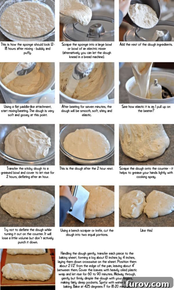 How To Collage A visual step-by-step collage illustrating the process of making ciabatta bread, from dough preparation to final shaping and baking.