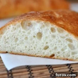 Homemade Ciabatta The Key to Earths Best Garlic Bread 4 A beautifully baked ciabatta loaf, showcasing its crust and airy interior, a staple for any meal.