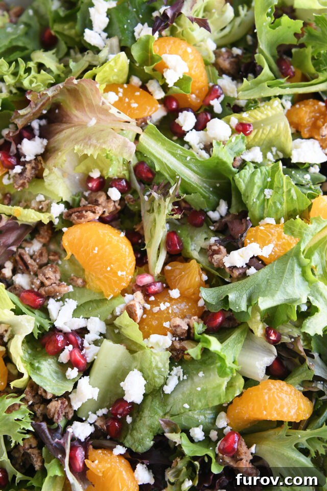 A close-up view of the holiday salad, focusing on the vibrant details of pomegranate arils, mandarin orange segments, crumbled feta, and candied nuts nestled among fresh salad greens.