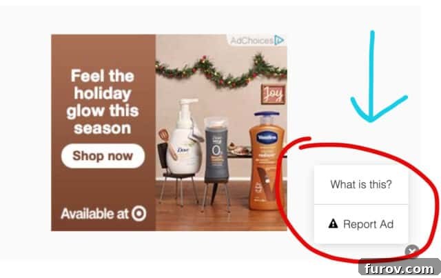 A Fifteen-Year Blogging Odyssey 8 target ad with red circle, showing how to report an ad