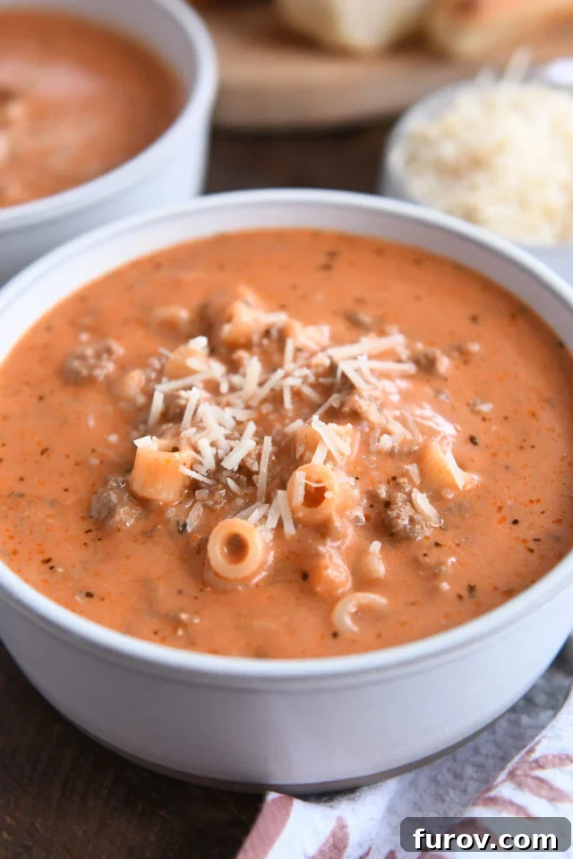 A comforting bowl of creamy beef and tomato noodle soup, garnished with fresh herbs and a sprinkle of Parmesan.