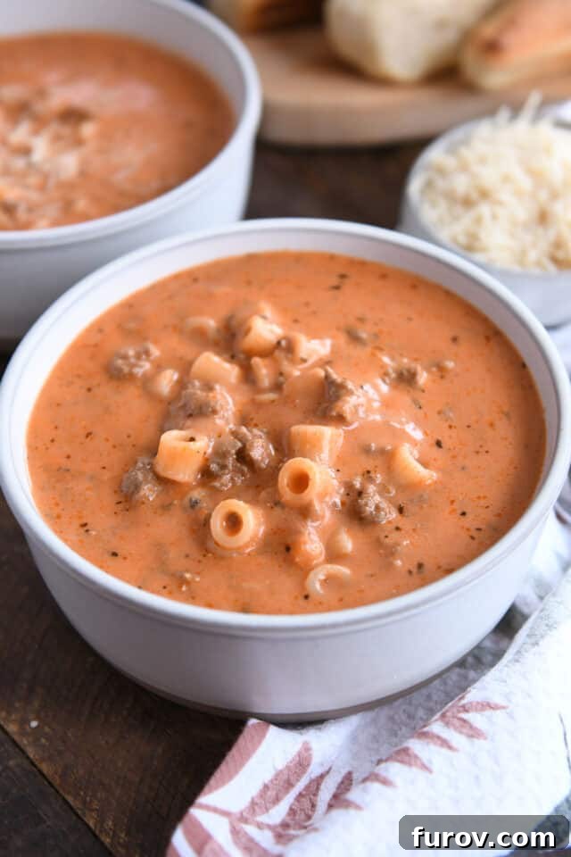 A perfectly portioned bowl of creamy beef and tomato noodle soup, inviting diners to enjoy its comforting flavors and hearty texture.