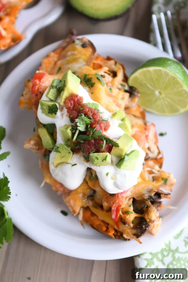 Zesty Chicken Fajita Sweet Potato Bowls 6 Top down view of a loaded sweet potato with chicken, veggies, sour cream, salsa, and avocado, ready to be enjoyed.