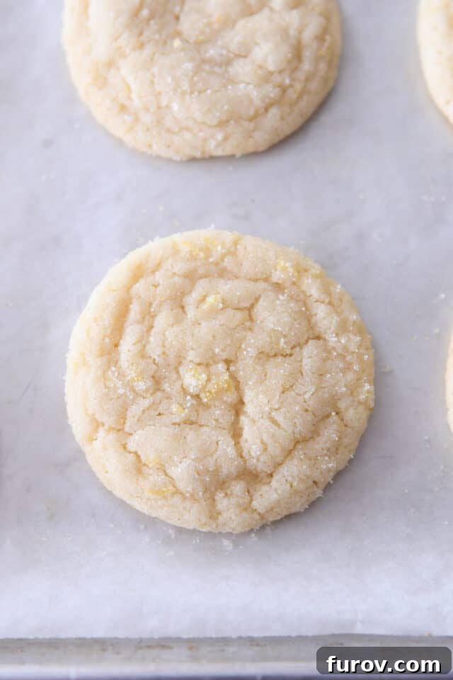 Soft & Chewy Lemon Drop Cookies: So Easy! 6 A freshly baked lemon sugar cookie resting on a baking sheet lined with parchment paper, showcasing its delicate crackled surface.