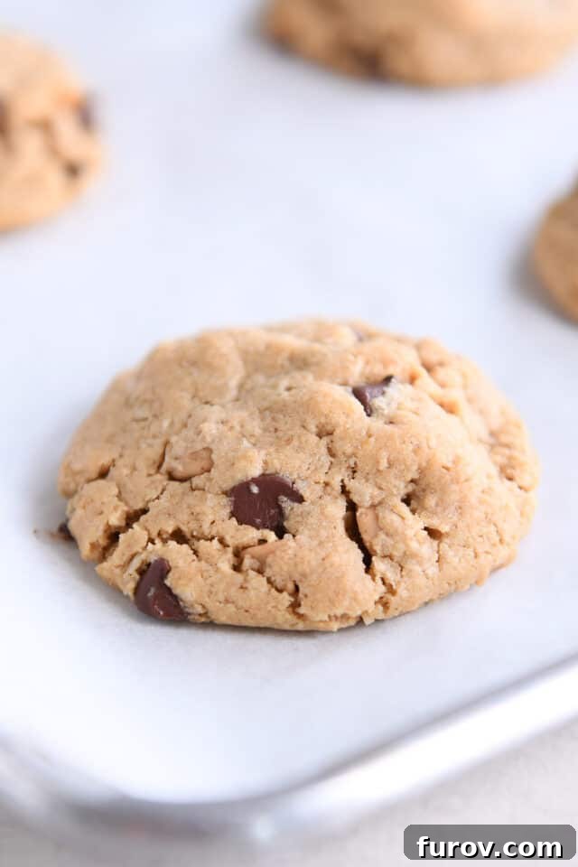 A freshly baked, golden-brown vegan peanut butter oatmeal chocolate chip cookie resting on a parchment-lined sheet pan, displaying its perfectly set edges.