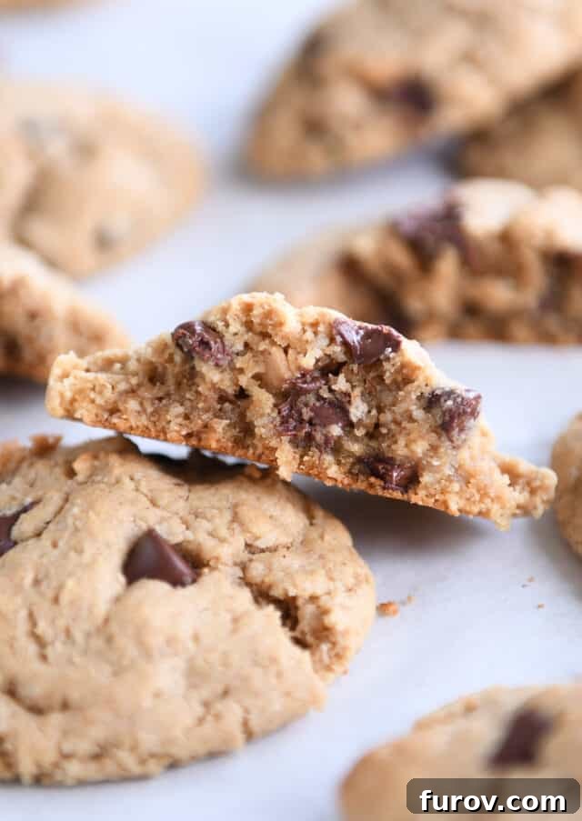 A warm vegan peanut butter oatmeal chocolate chip cookie, broken in half, leaning against a whole cookie, showcasing its soft, chewy interior with melted chocolate.