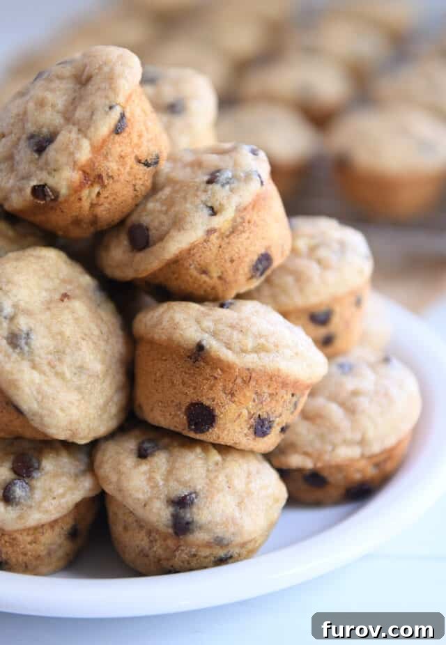 Stack of perfectly baked mini banana chocolate chip muffins on a pristine white plate, showcasing their golden-brown tops and rich chocolate chips.