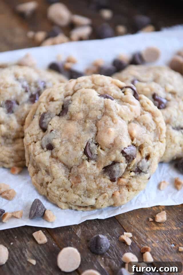 Signature Oatmeal Chocolate Chip Peanut Butter Toffee Cookies 2 One large, perfectly baked oatmeal chocolate chip peanut butter toffee cookie, golden brown and studded with chocolate chips, peanut butter chips, and toffee bits. It sits on parchment paper with additional morsels scattered around, highlighting its abundant add-ins.