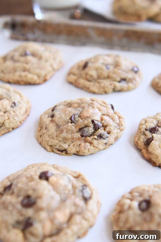 Signature Oatmeal Chocolate Chip Peanut Butter Toffee Cookies 6 Five or six large, freshly baked oatmeal chocolate chip cookies, rich with peanut butter and toffee, resting on a parchment-lined baking tray.