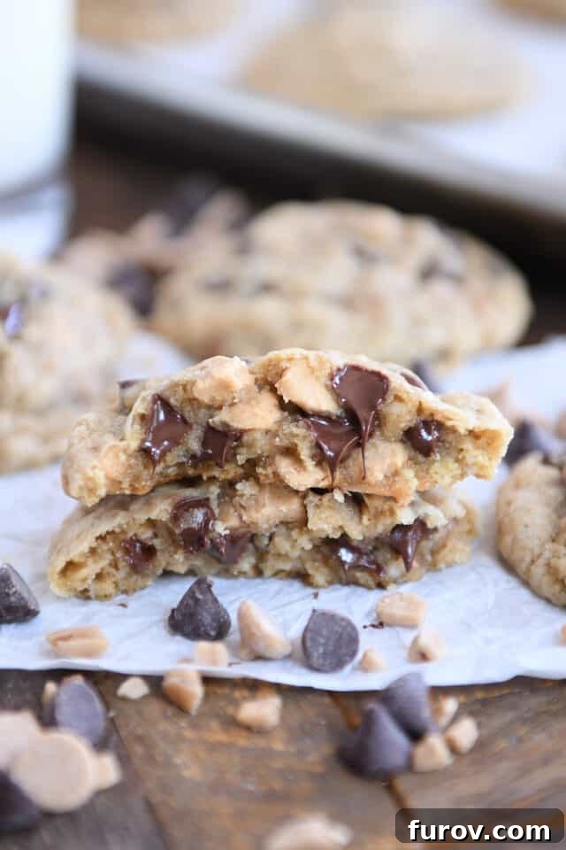 Signature Oatmeal Chocolate Chip Peanut Butter Toffee Cookies 7 A freshly baked oatmeal chocolate chip peanut butter toffee cookie broken in half, revealing its soft, chewy interior and melty chocolate chips.